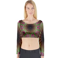 Julian Star Star Fun Green Violet Long Sleeve Crop Top by Amaryn4rt