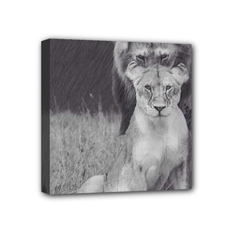 King And Queen Of The Jungle Design  Mini Canvas 4  X 4  by FrontlineS