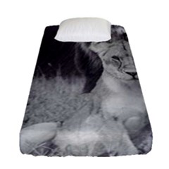 King And Queen Of The Jungle Design  Fitted Sheet (single Size)