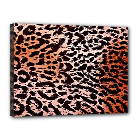 Tiger Motif Animal Canvas 16  X 12  by Amaryn4rt