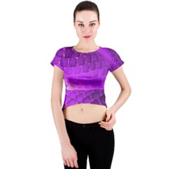 Circular Color Crew Neck Crop Top