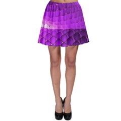 Circular Color Skater Skirt