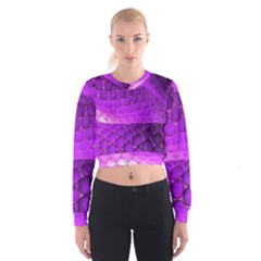 Circular Color Women s Cropped Sweatshirt