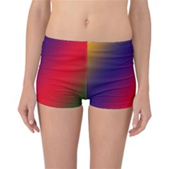 Rainbow Two Background Reversible Bikini Bottoms