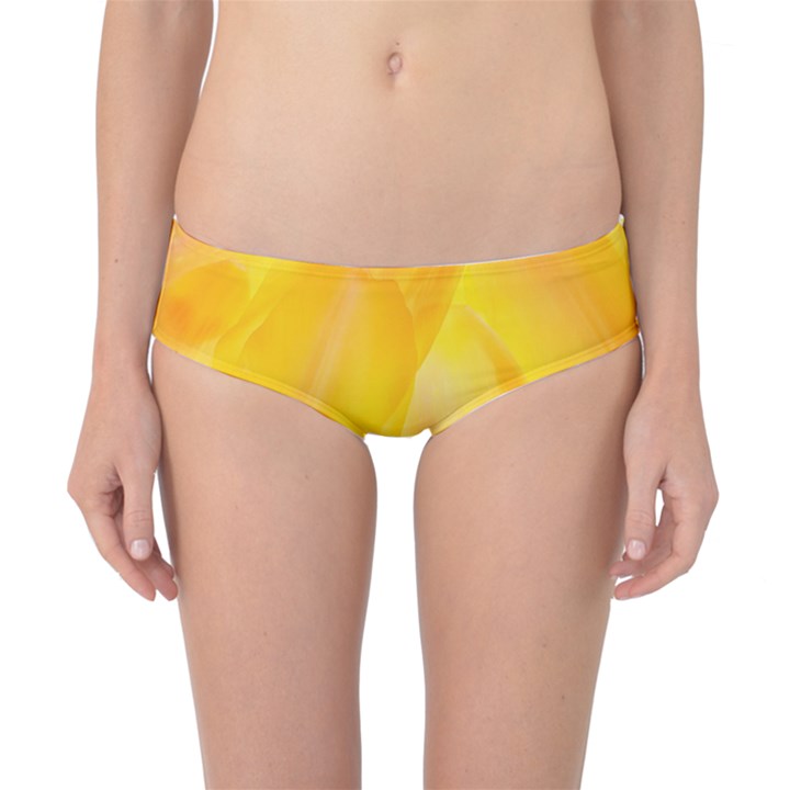 Yellow Pattern Painting Classic Bikini Bottoms