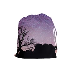 Arches National Park Night Drawstring Pouches (large)  by Amaryn4rt