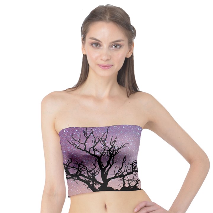 Arches National Park Night Tube Top