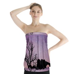 Arches National Park Night Strapless Top