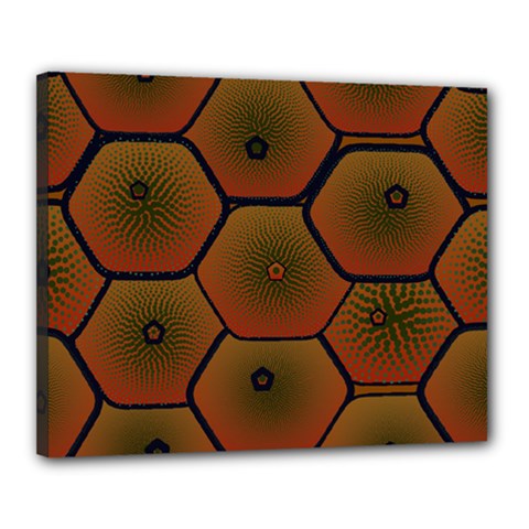 Art Psychedelic Pattern Canvas 20  X 16 