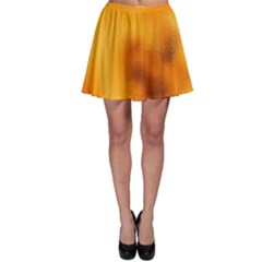 Blurred Glass Effect Skater Skirt