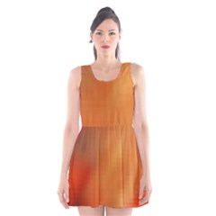 Bright Tech Background Scoop Neck Skater Dress