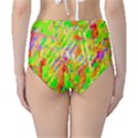 Cheerful Phantasmagoric Pattern High-Waist Bikini Bottoms View2