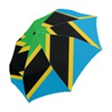 Flag Of Tanzania Folding Umbrellas View2