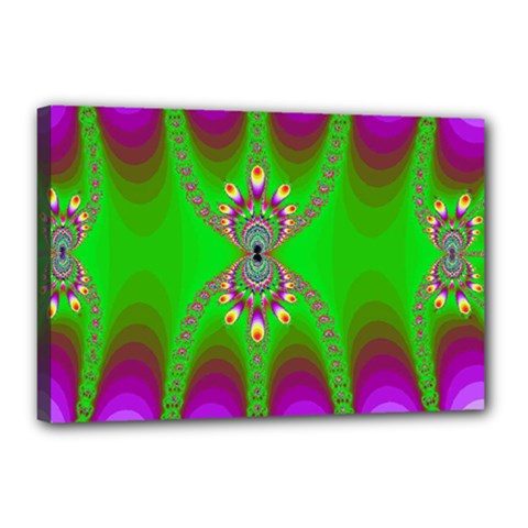 Green And Purple Fractal Canvas 18  X 12 