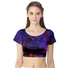 Grunge Abstract Short Sleeve Crop Top (tight Fit) by Amaryn4rt