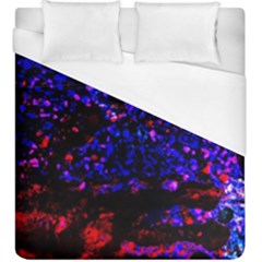 Grunge Abstract Duvet Cover (king Size)