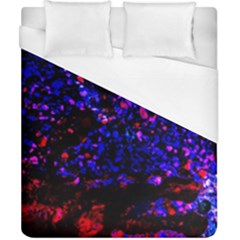 Grunge Abstract Duvet Cover (california King Size)