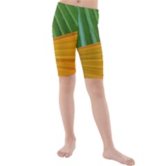 Pattern Colorful Palm Leaves Kids  Mid Length Swim Shorts