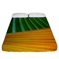 Pattern Colorful Palm Leaves Fitted Sheet (california King Size)