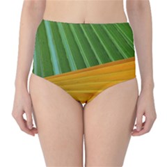 Pattern Colorful Palm Leaves High-waist Bikini Bottoms