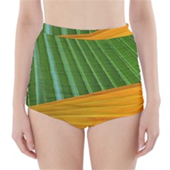 Pattern Colorful Palm Leaves High-waisted Bikini Bottoms