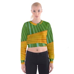 Pattern Colorful Palm Leaves Women s Cropped Sweatshirt by Amaryn4rt