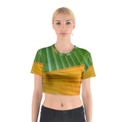 Pattern Colorful Palm Leaves Cotton Crop Top