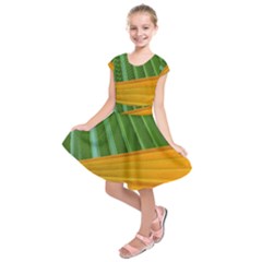 Pattern Colorful Palm Leaves Kids  Short Sleeve Dress