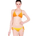 Rainbow Yellow Orange Background Bikini Set View3