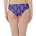 Red Blue Bee Hive Hipster Bikini Bottoms View2