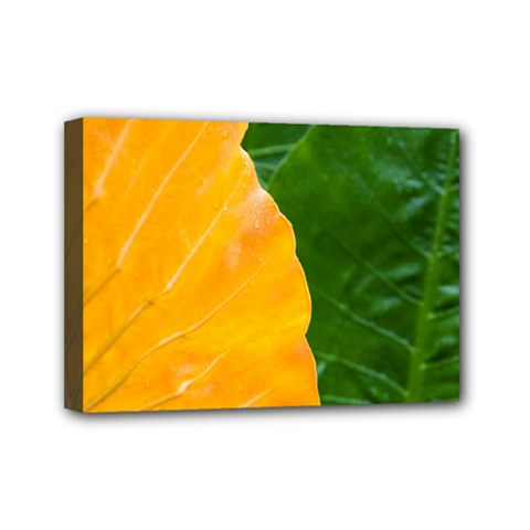 Wet Yellow And Green Leaves Abstract Pattern Mini Canvas 7  X 5  by Amaryn4rt