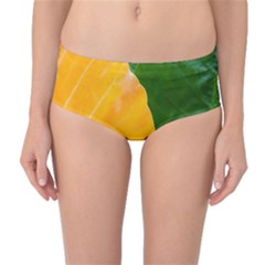 Wet Yellow And Green Leaves Abstract Pattern Mid-waist Bikini Bottoms