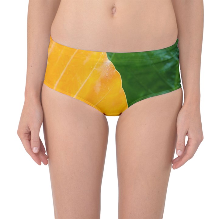 Wet Yellow And Green Leaves Abstract Pattern Mid-Waist Bikini Bottoms