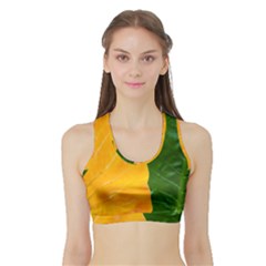 Wet Yellow And Green Leaves Abstract Pattern Sports Bra With Border