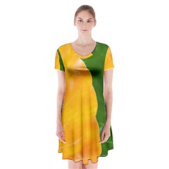 Wet Yellow And Green Leaves Abstract Pattern Short Sleeve V-neck Flare Dress