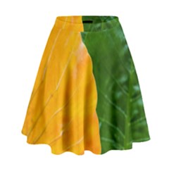 Wet Yellow And Green Leaves Abstract Pattern High Waist Skirt