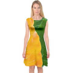 Wet Yellow And Green Leaves Abstract Pattern Capsleeve Midi Dress