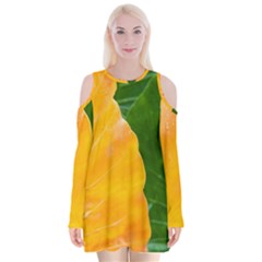 Wet Yellow And Green Leaves Abstract Pattern Velvet Long Sleeve Shoulder Cutout Dress