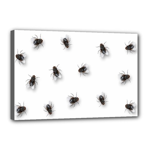 Flies Canvas 18  X 12 