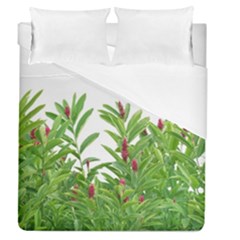 Tropical Floral Print Duvet Cover (queen Size) by dflcprints