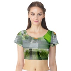 Butterfly #17 Short Sleeve Crop Top (tight Fit)