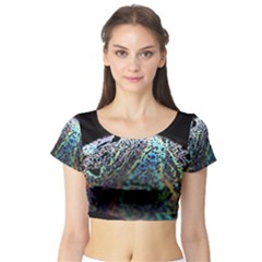 Bubble Iridescent Soap Bubble Short Sleeve Crop Top (tight Fit) by Amaryn4rt