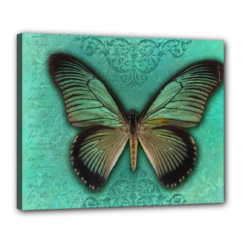 Butterfly Background Vintage Old Grunge Canvas 20  X 16 