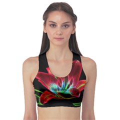 Flower Pattern Design Abstract Background Sports Bra