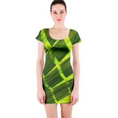 Frond Leaves Tropical Nature Plant Short Sleeve Bodycon Dress by Amaryn4rt