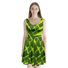 Frond Leaves Tropical Nature Plant Split Back Mini Dress 