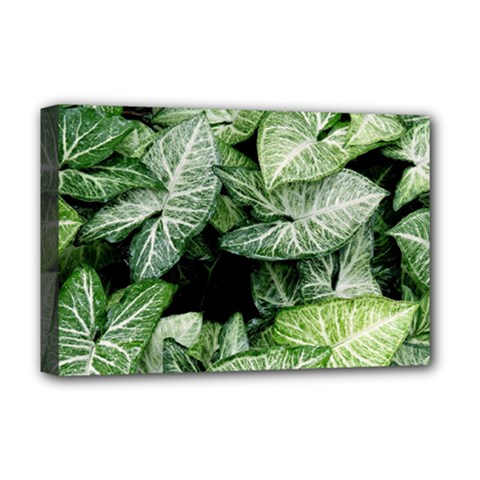 Green Leaves Nature Pattern Plant Deluxe Canvas 18  X 12  