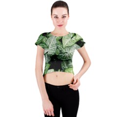 Green Leaves Nature Pattern Plant Crew Neck Crop Top