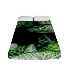 Green Leaves Nature Pattern Plant Fitted Sheet (full/ Double Size)