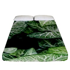 Green Leaves Nature Pattern Plant Fitted Sheet (king Size) by Amaryn4rt